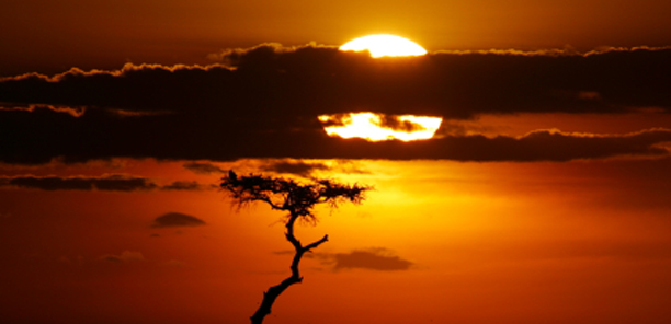 Afrique